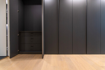 cabinet and closet in the bedroom