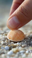A hand gently reaches for an orange and white striped shell on a sandy beach, with grains sparkling in the soft light of dawn