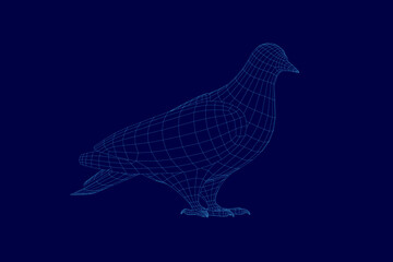 A blue bird with a wire frame. The bird is standing on a blue background. The wire frame gives the bird a 3D appearance