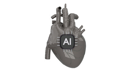 Realistic 3D Transparent Human Heart in Gray Color with a Robust Concept for Medical and Anatomical Visualization