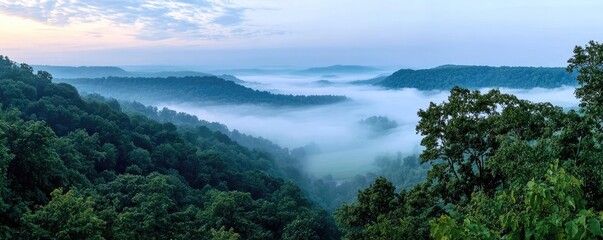 Morning mist nature concept. A serene panoramic view of misty valleys surrounded by lush green hills at dawn.