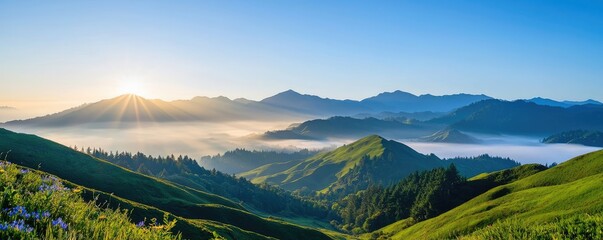 Fototapeta premium Morning mist nature concept. Breathtaking sunrise over rolling green hills and misty valleys in the mountains.