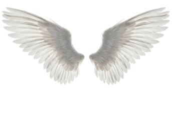 Naklejka premium Pair of large white feathered angel wings, isolated on white background