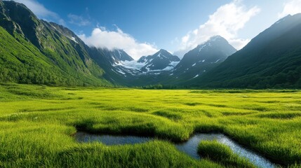 Fototapeta premium A serene wetland landscape with lush green grass, surrounded by imposing mountain ranges, symbolizing the deep connection between water and earth in nature.