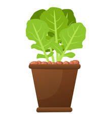 Plant in the pot. Vector illustration isolated on white background.