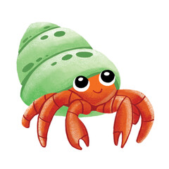 A cute hermit crab