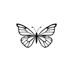 Elegant Black and White Butterfly: A Simple Nature Graphic Design