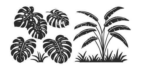 Hand-Drawn Palm Leaf Illustration – Tropical Jungle Monstera & Banana Leaves