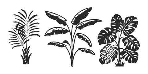 Hand-Drawn Palm Leaf Illustration – Tropical Jungle Monstera & Banana Leaves
