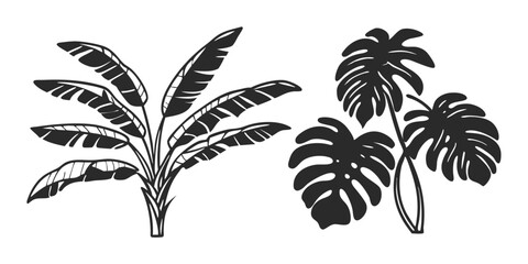 Hand-Drawn Palm Leaf Illustration – Tropical Jungle Monstera & Banana Leaves
