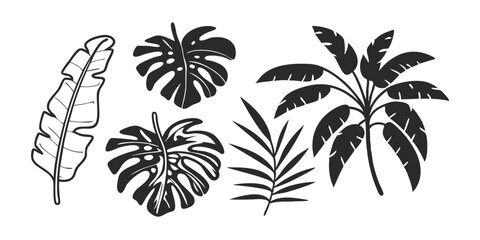 Hand-Drawn Palm Leaf Illustration – Tropical Jungle Monstera & Banana Leaves