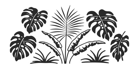 Hand-Drawn Palm Leaf Illustration – Tropical Jungle Monstera & Banana Leaves