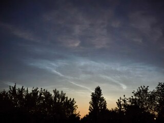 Sunset in the forest with silhouettes of trees and blue sky. The colors in the sky transition from warm oranges to cool blues, creating a beautiful blend of hues