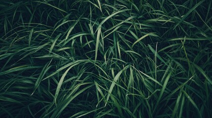 Artificial grass showcasing vibrant green blades arranged in neat even rows creating a fresh and natural look