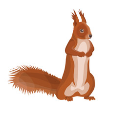 Squirrel stands on its hind legs. Vector illustration in a realistic style isolated on a white background