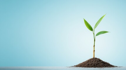 Bamboo logo emerging through soil under a clear blue sky, symbolizing growth and sustainability while capturing the essence of nature and new beginnings