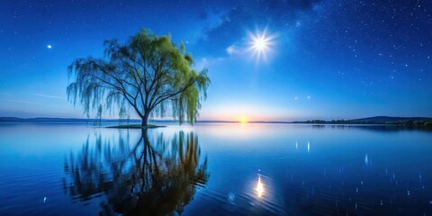 Obraz premium Serene Weeping Willow Tree on a Calm Lake Under a Starry Night Sky