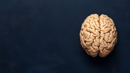 Intricate Human Brain Structure Displayed on Vibrant Blue Surface Representing Neuroscience Concept with Emphasis on Cognitive Function and Mental Health in a Modern Scientific Context