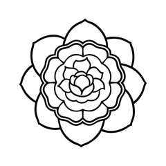 illustration of a rose