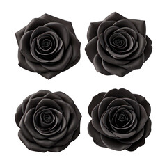 Set of four black roses in a minimalist arrangement isolated background