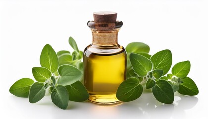 essential oil in bottle and oregano leaves isolated on white