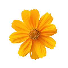 Obraz premium Bright yellow flower with vibrant petals and central cluster of stamens, symbolizing joy and warmth. Perfect for nature themed designs