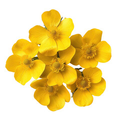 Naklejka premium Bright yellow flowers arranged beautifully, showcasing their vibrant petals and intricate details. Perfect for adding touch of nature beauty to any design