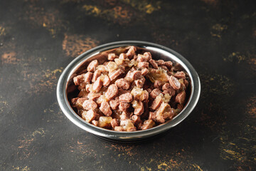 Hungry Scottish Fold Cat Eating Food