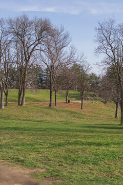 The meadow, green landscape and reborn vegetation, season changing 