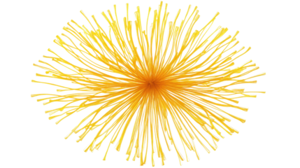 Yellow fibers spreading outwards creating a sunburst effect on transparent background