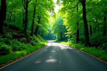 Fototapeta premium A serene tree-lined road inviting peaceful journeys through lush greenery.