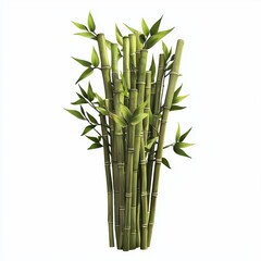 Obraz premium Bamboo stalks with fresh green leaves, isolated on white background