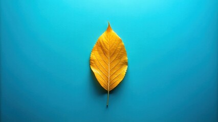Fototapeta premium Single golden leaf on a vibrant blue background. A simple autumnal composition.