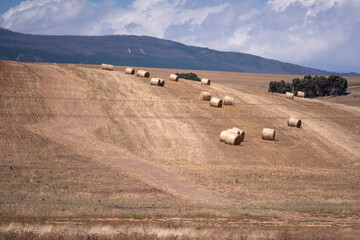 Obraz premium Hands in the soil, hearts full of hope—life on the farm thrives with every season’s cycle