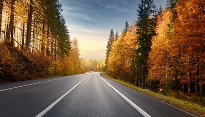 Fototapeta premium asphalt road with lovely timber in autumn