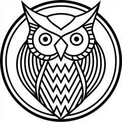 owl on white background