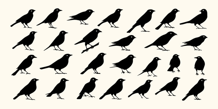 Bird Silhouette Vector Collection &ndash; 30 Unique Designs for Avian-Themed Graphics & Prints