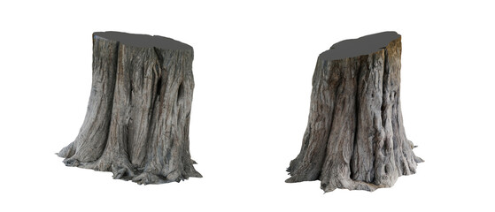 old tree stump isolated on white