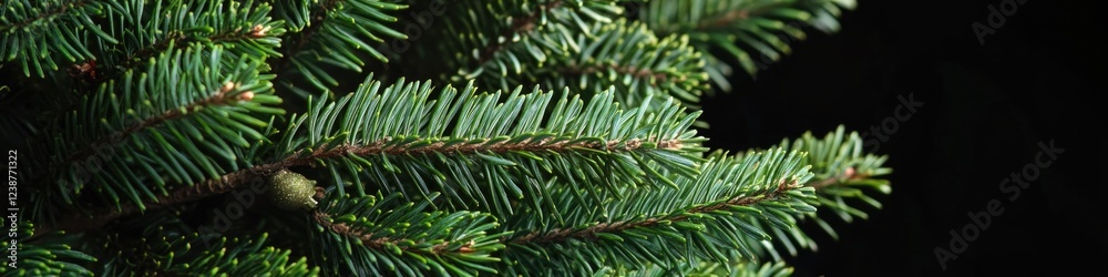 Poster a close-up shot of a pine tree's trunk and branches against a dark background