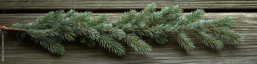 Poster a single pine tree branch lying on a wooden surface, ideal for decorative purposes or as a prop in v
