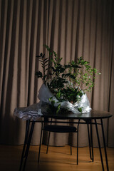 Green plants in soft light, elegantly wrapped in transparent plastic on a table