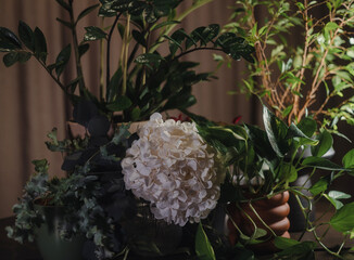 Elegant floral composition with green leaves in dim light