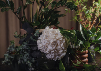 Elegant floral composition with green leaves in dim light