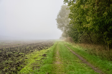 Path in green grass on the edge of a plowed field. In autumn in thick morning fog.