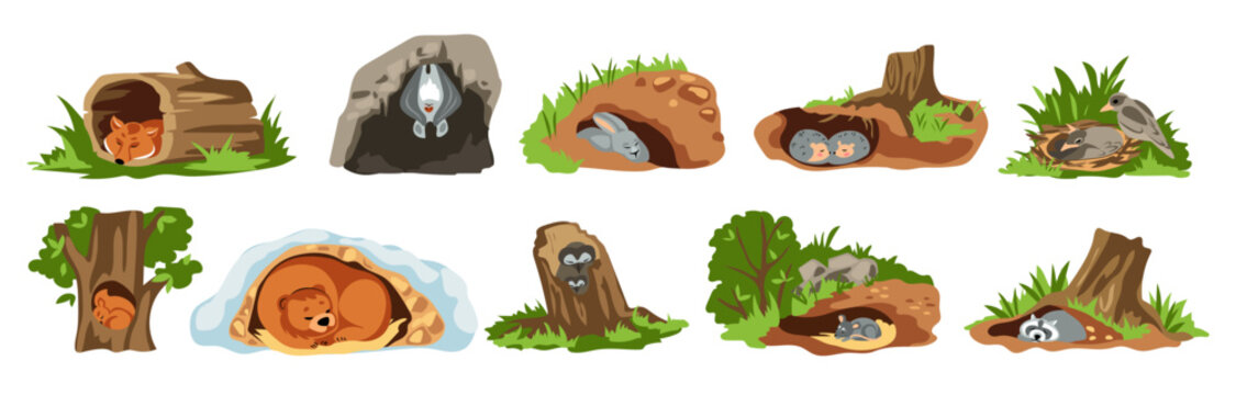 Animal den. Nature creatures sleep in burrows. Cute forest hollow trees. Bat and hedgehog in holes. Fox home or owl nest. Squirrel, rabbit or mouse dream in shelters. Vector cartoon set