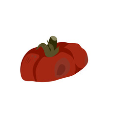 Rotten Tomato for Compost