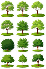 Fototapeta premium Set of different green trees with trunks and foliage illustrations isolated at white background