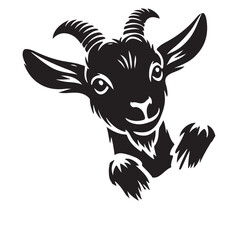 Silhouette of an Adorable Kid Goat Peeking