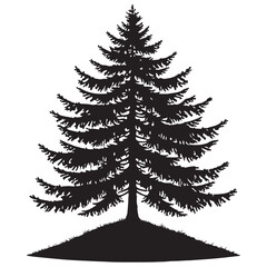 Majestic Silhouette of a Coniferous Tree