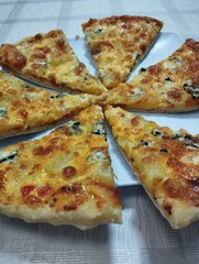 Slices of pizza are arranged on a plate, their golden crusts slightly crispy and topped with a melty layer of cheese, vibrant tomato sauce, and a variety of fresh toppings.